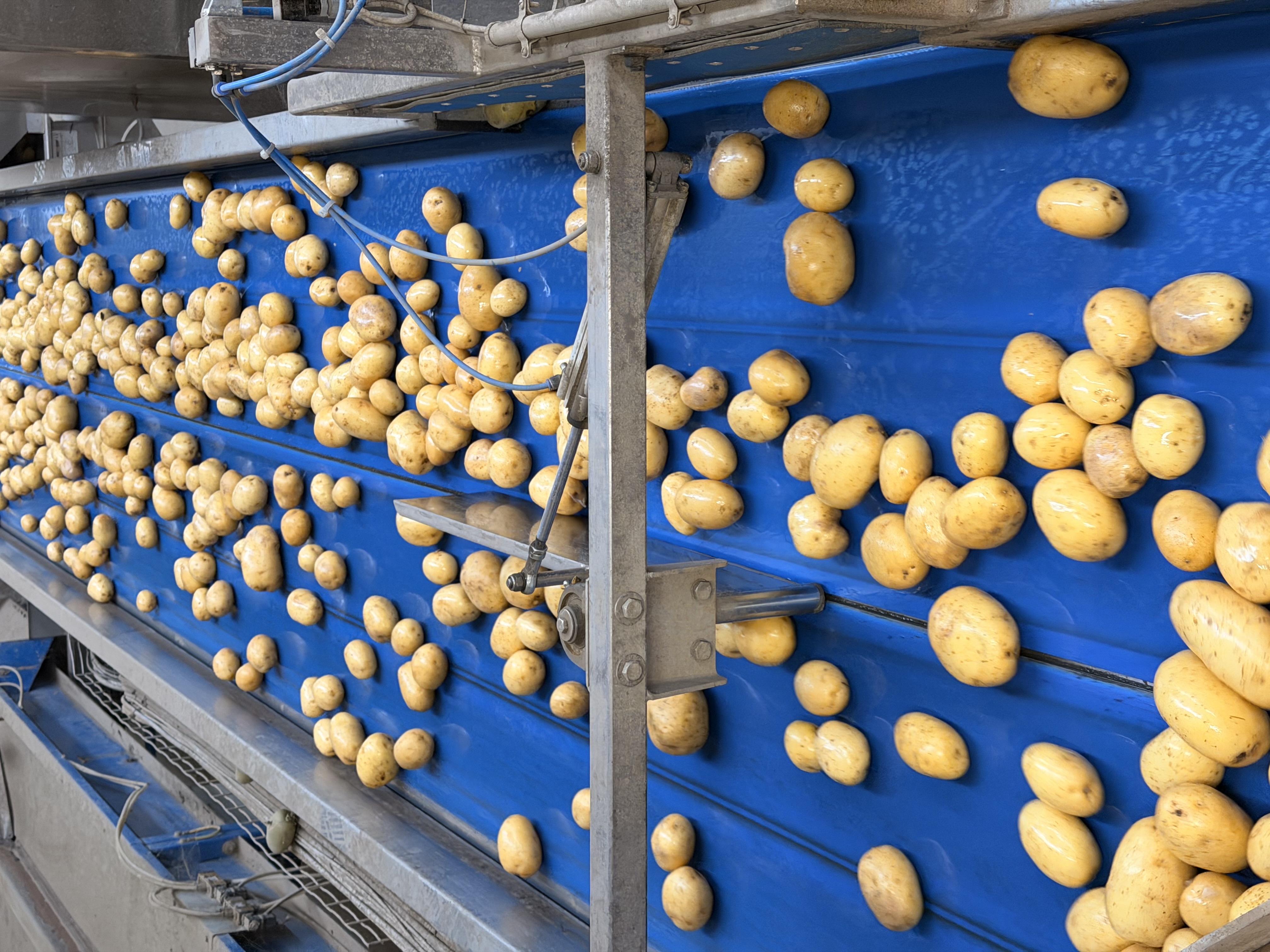 Patate & Packaging